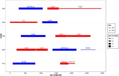 Influence of three different manure treatments on antimicrobial resistance genes and mobile genetic elements